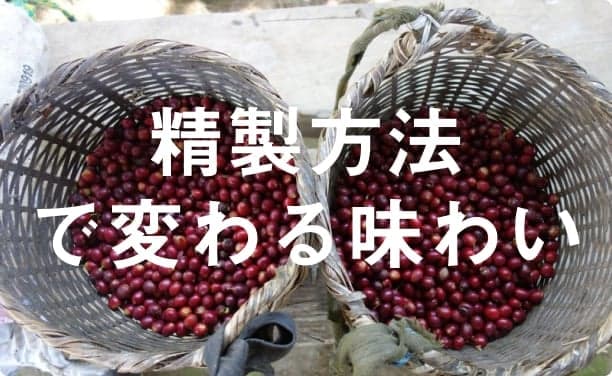 ウォッシュド・ナチュラル・・とは?知っておきたいコーヒーの精製方法