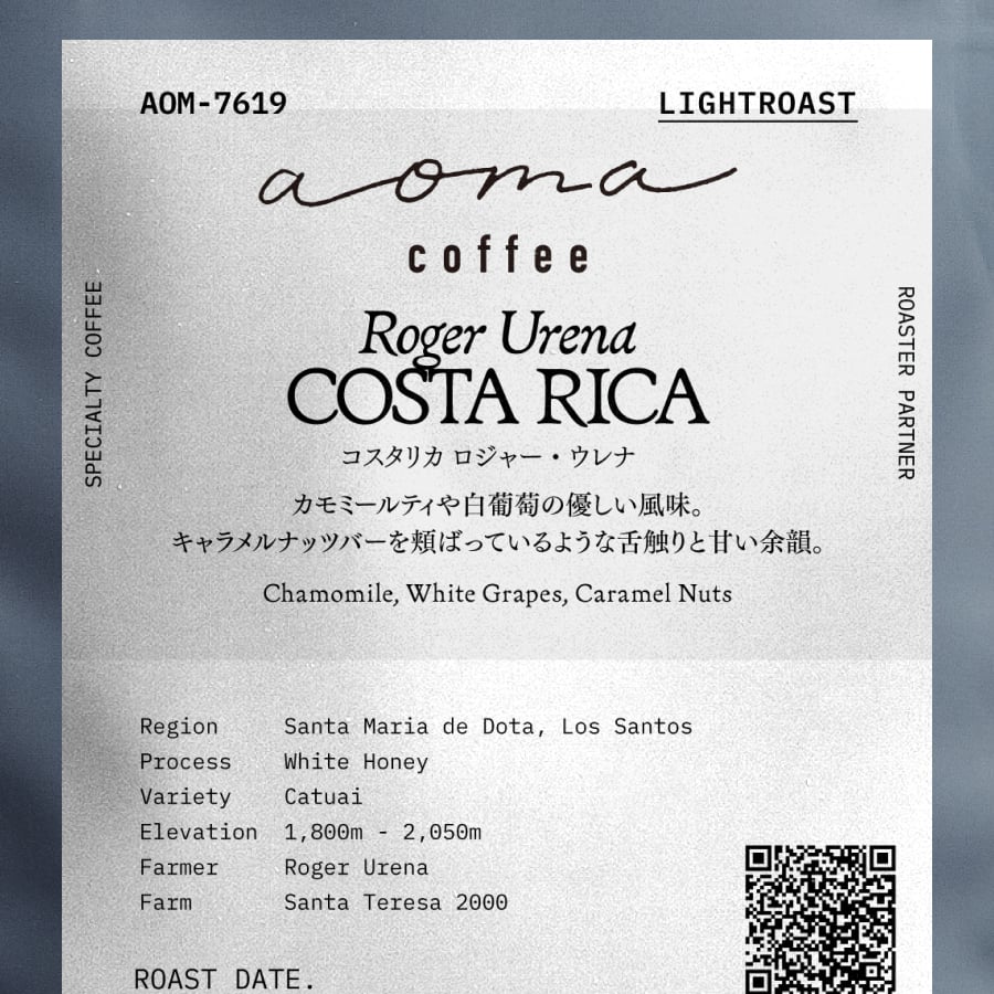 チョコミント フライヤー 20セット チョコミント フライヤー 20セット チョコミント フライヤー 20セット