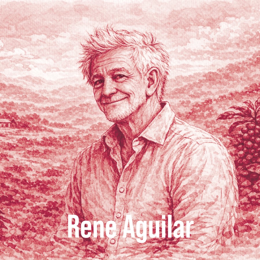 エルサルバドル フィンカ ラ モンタニータ ゲイシャ | PostCoffee