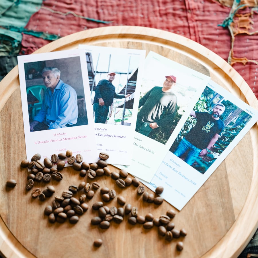 エルサルバドル フィンカ ラ モンタニータ ゲイシャ | PostCoffee