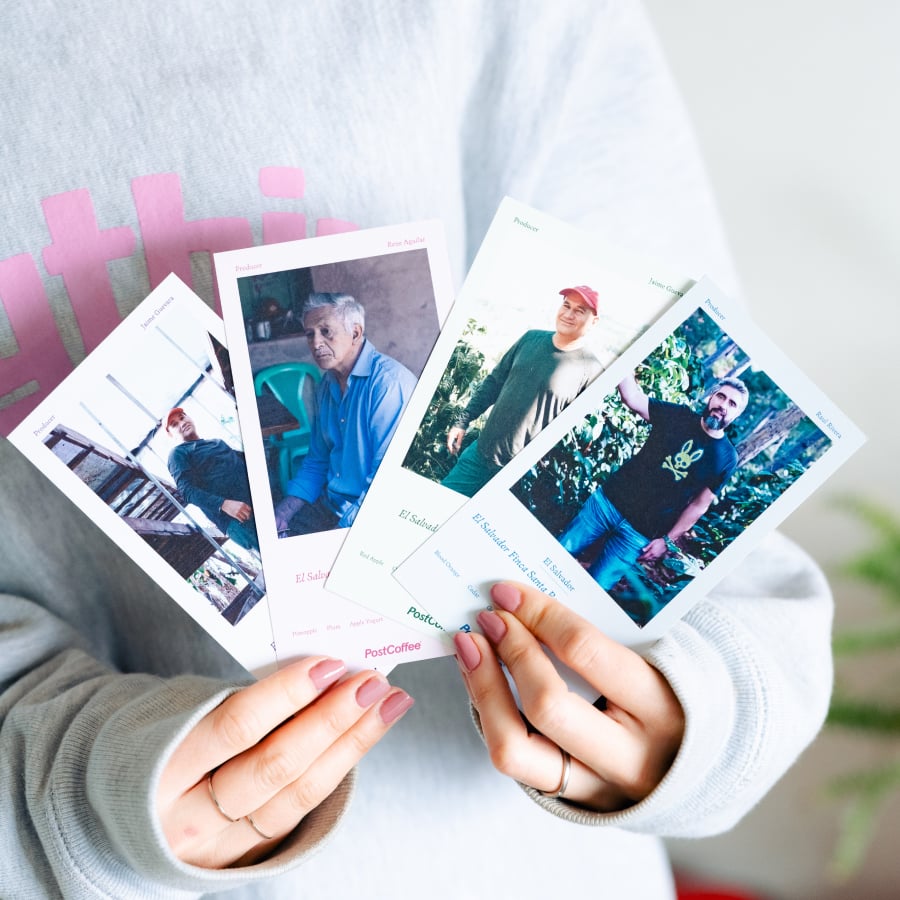 エルサルバドル フィンカ ラ モンタニータ ゲイシャ | PostCoffee