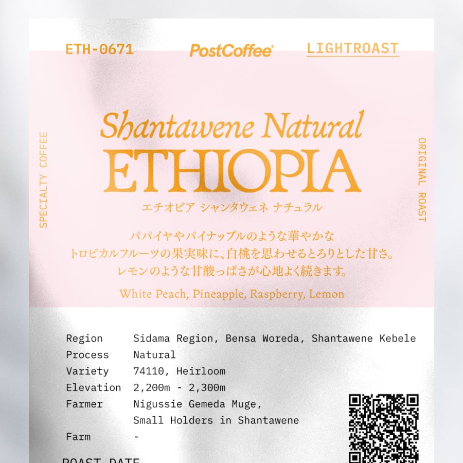 エチオピア シャンタウェネ ナチュラル | PostCoffee(ポストコーヒー)