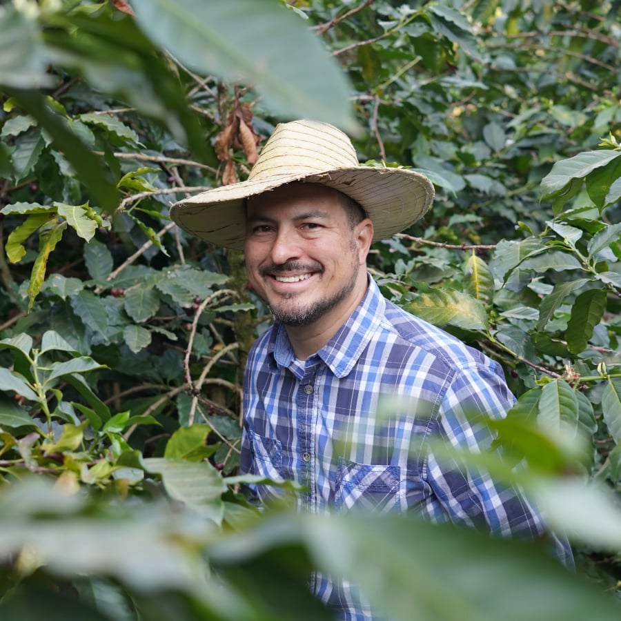 デカフェ ブラジル フロラータ | PostCoffee(ポストコーヒー)