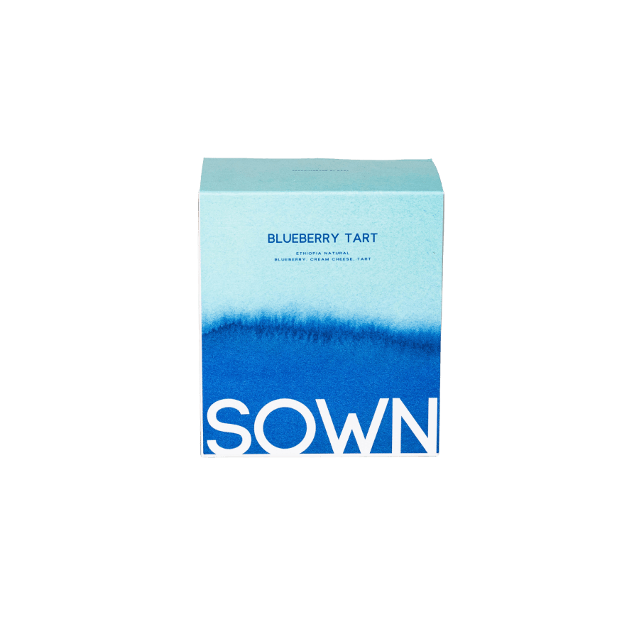エチオピア ブルーベリータルト - ソウン — | PostCoffee(ポストコーヒー)